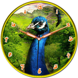 Peacock Clock icon