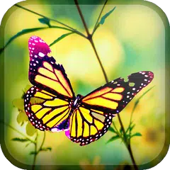 Butterfly Live Wallpaper APK download