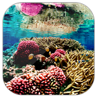 Coral Reef Live Wallpaper আইকন