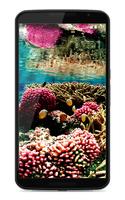 Coral Reef Live Wallpaper পোস্টার