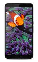 Coral Reef Live Wallpaper স্ক্রিনশট 1