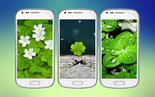 Clover 3D Free Live Wallpaper 海報