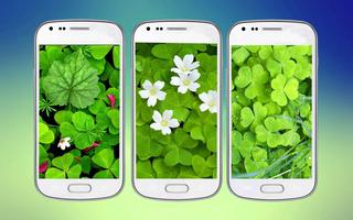 1 Schermata Clover 3D Free Live Wallpaper