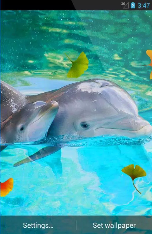Dolphin 3D Live Wallpaper APK للاندرويد تنزيل Dolphin 3D Live Wallpaper APK للاندرويد تنزيل