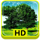 3D Nature HD icône
