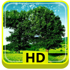 3D Nature HD ikona