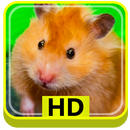 Syrian Hamster HD APK