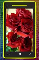3D Rose Flower HD screenshot 1