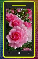 3D Rose Flower HD capture d'écran 3
