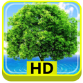 3D Tree HD