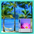 3D Hawaii