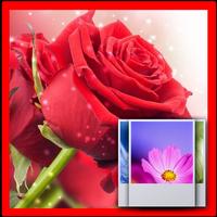 3D Rose  Wallpaper Free পোস্টার