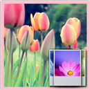 3D Tulip  Wallpaper Free APK