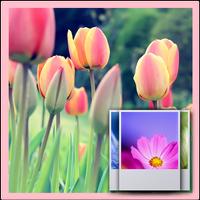 3D Tulip  Wallpaper Free स्क्रीनशॉट 1