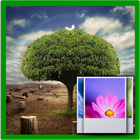 3D Tree icon