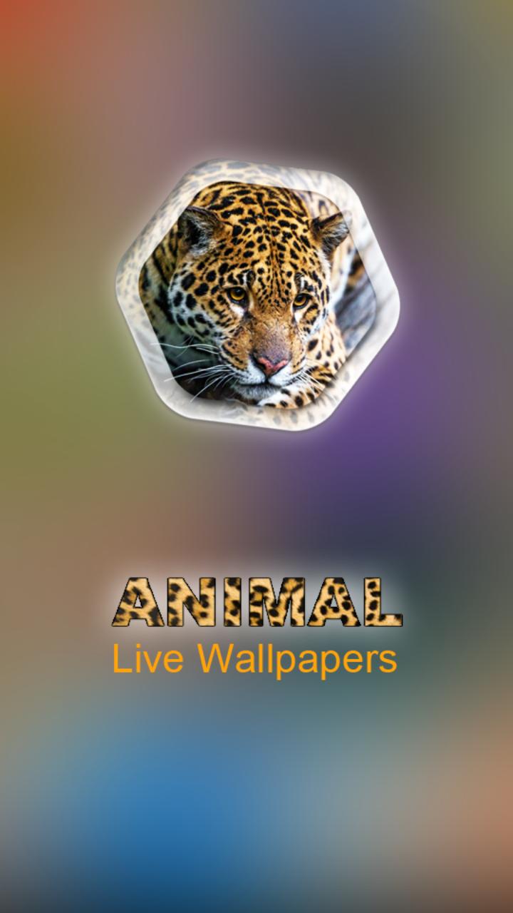 Animal Live Wallpapers APK للاندرويد تنزيل