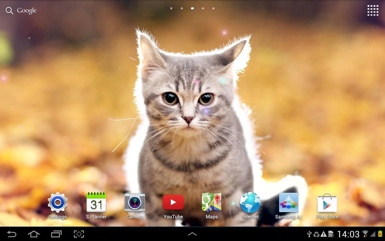 Dog and Cat Live Wallpapers