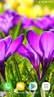 Beautiful Spring Flowers Live  screenshot 2