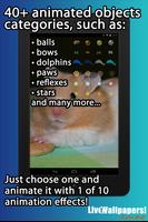 Hamsters Live Wallpaper Affiche