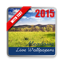 Spring Meadows Live Wallpaper APK