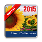 Sunflowers Live Wallpaper icon