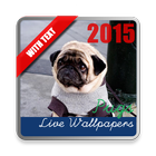 Pugs Live Wallpaper ícone