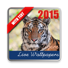 Tigers Live Wallpaper icon