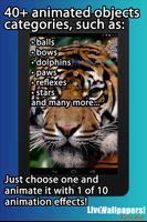 Tigers Live Wallpaper Plakat