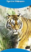 harimau wallpaper hidup poster