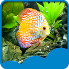 Aquarium Live Wallpapers ไอคอน