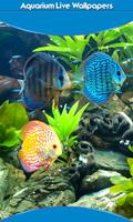 live wallpapers aquarium Affiche