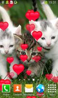 chats mignons Live Wallpapers capture d'écran 1