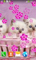 Cute Cats Live Wallpapers 스크린샷 2
