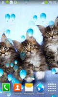 برنامه‌نما Cute Cats Live Wallpapers عکس از صفحه