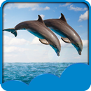 Dolphin Live Wallpapers APK