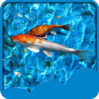 Koi Fish Live Wallpapers أيقونة