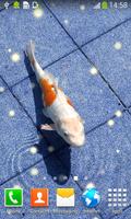 Koi Fish Live Wallpapers 截图 1