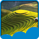 Landscape Live Wallpapers APK