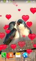 2 Schermata Love Birds Live Wallpapers