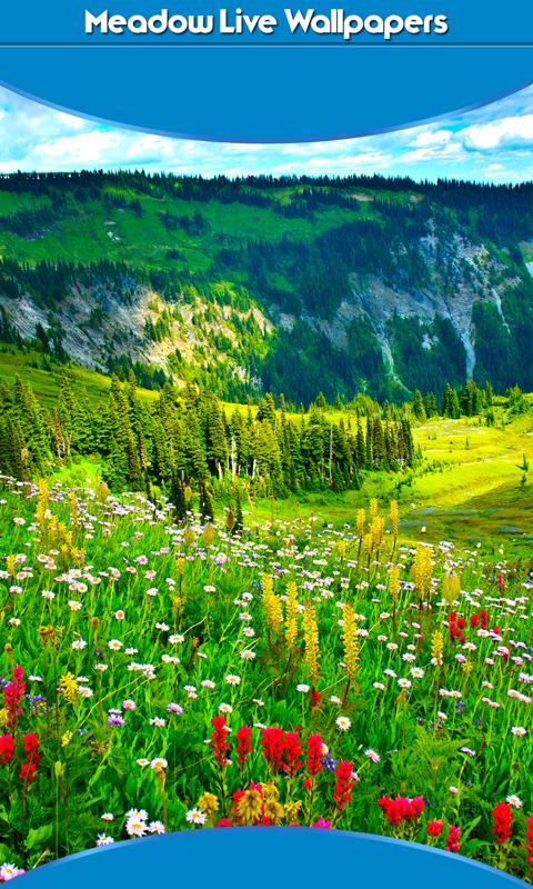8000 Wallpaper Alam Padang Rumput HD Terbaru 8000 Wallpaper Alam Padang Rumput HD Terbaru