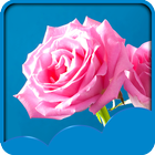 Rose Live Wallpapers 图标