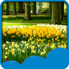 Spring Live Wallpapers আইকন