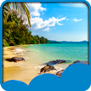 Summer Live Wallpapers APK