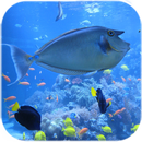 मछलीघर लाइव वॉलपेपर APK