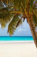 پوستر Beach Live Wallpaper