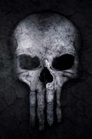Skulls Live Wallpaper capture d'écran 1
