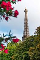 Paris wallpaper hidup syot layar 1