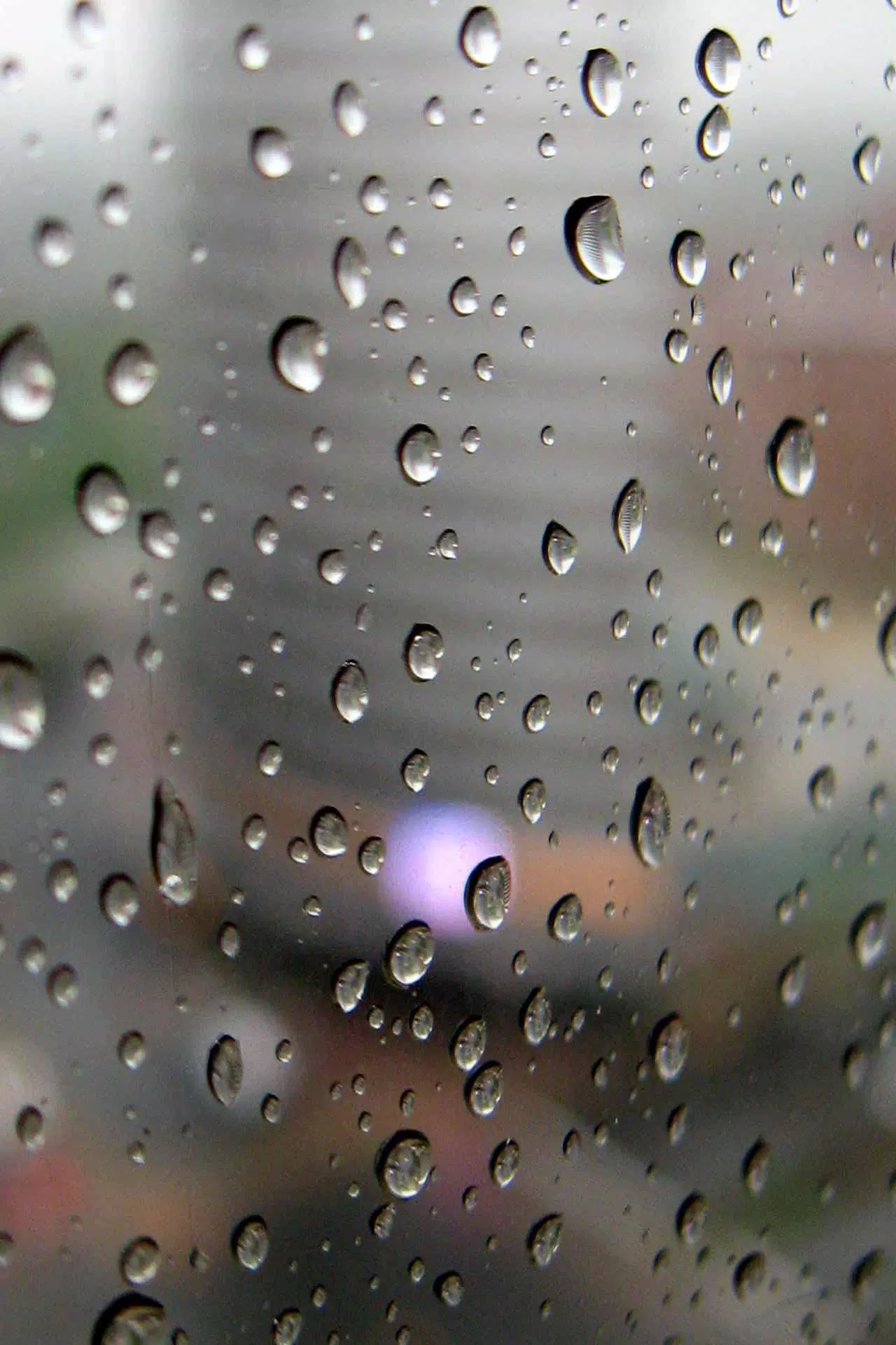 Rain Live Wallpaper APK for Android Download Rain Live Wallpaper APK for Android Download