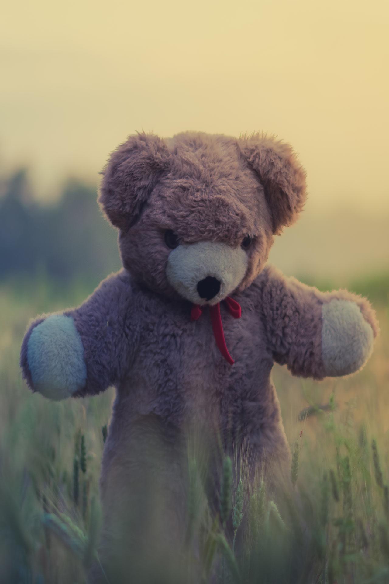 Boneka Beruang Wallpaper Hidup For Android APK Download