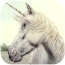 गेंडा लाइव वॉलपेपर APK